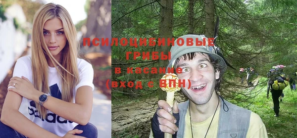 гидропоника Абаза