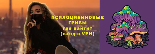 гидропоника Абаза