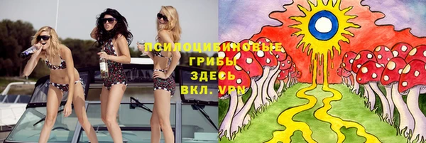 гидропоника Абаза