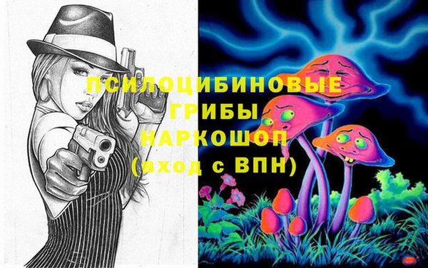 гидропоника Абаза