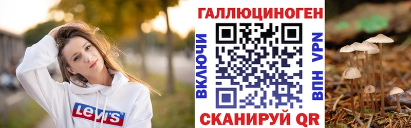 наркота  Чебаркуль  Псилоцибиновые грибы Magic Shrooms 