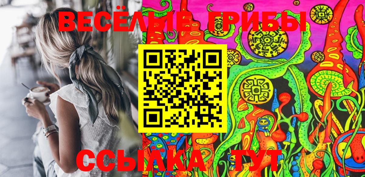 Псилоцибиновые грибы Cubensis Чебаркуль