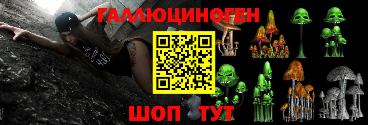 Чебаркуль  Галлюциногенные грибы Psilocybe  Вход с VPN 